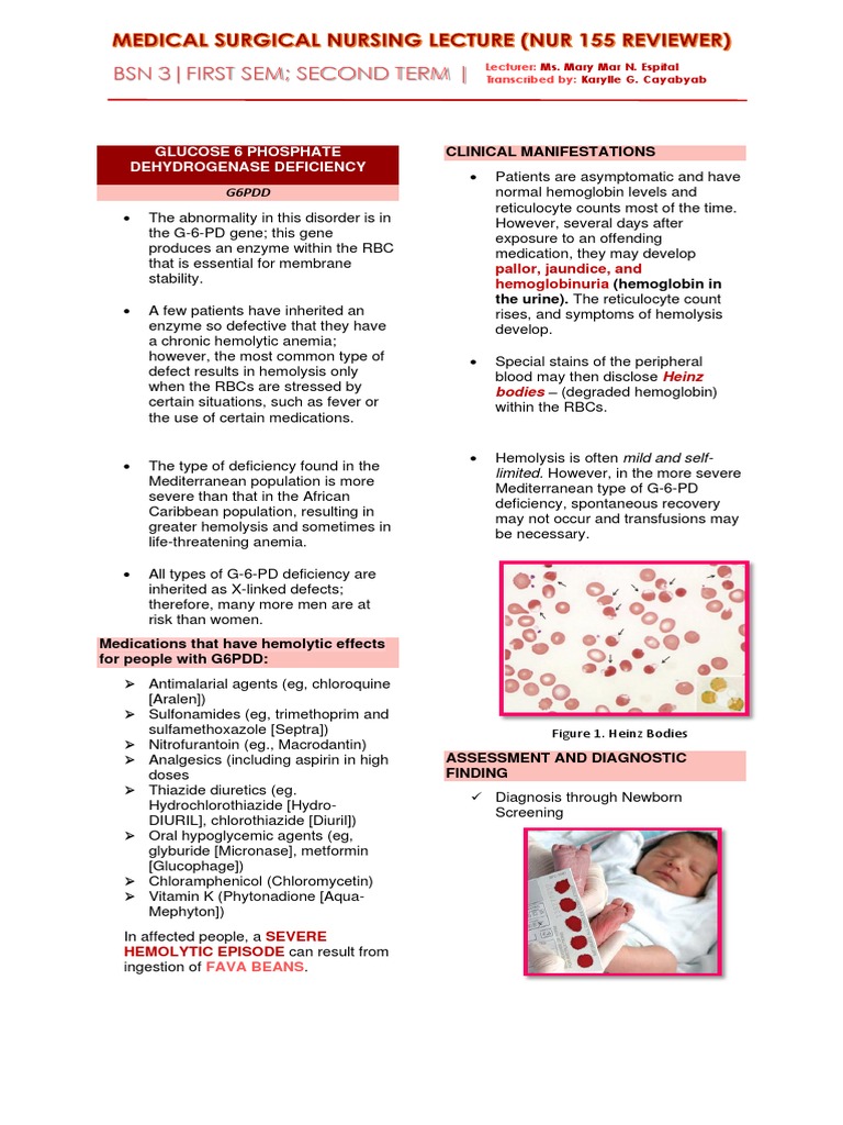 Hema Concepts PDF Leukemia Anemia