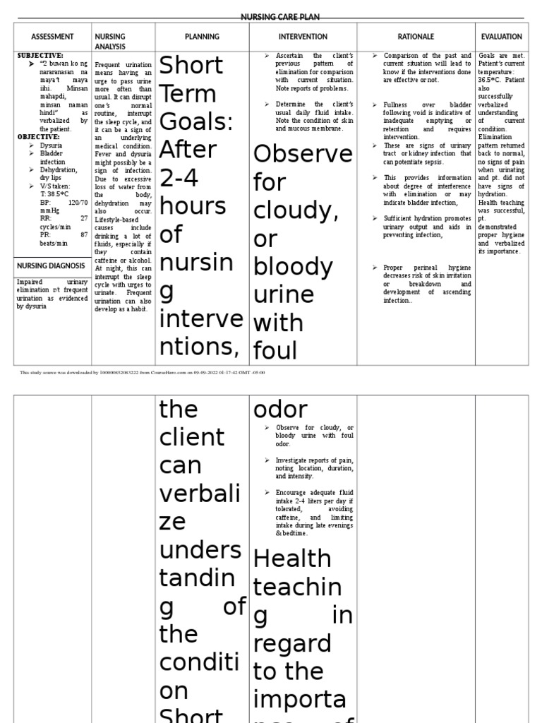 Urinary Incontinence Nursing Care Plan | PDF | Urinary Bladder | Urine