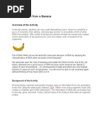 Banana DNA Extraction Experiment Guide | PDF | Ethanol | Filtration