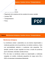 Tema 2. Membranas Biológicas. Canales Iónicos. Transportadores