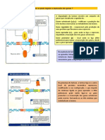Regulação Genica