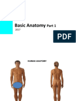 2.basic Anatomy For AFO