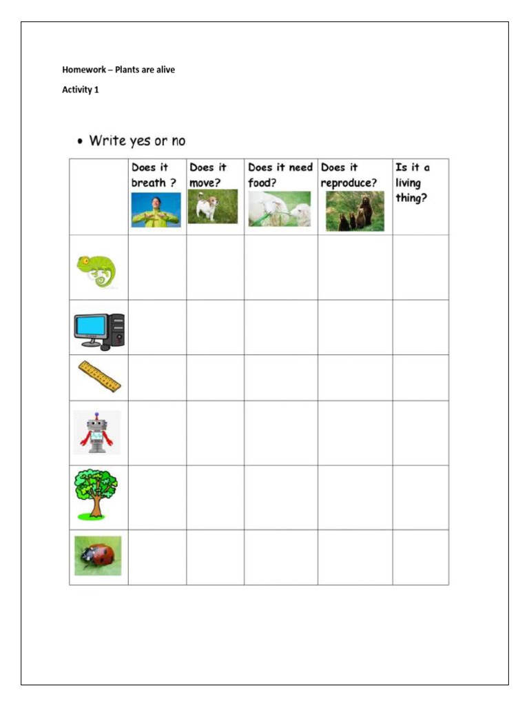 Homework Plants Are Living Things PDF