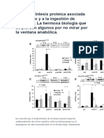 mTOR y Síntesis Proteica Asociada Al Ejercicio y