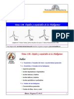 Tema - 11B - Oxidos y Oxoacidos de Los Halogenos
