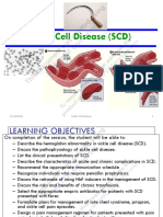 2-Sickle Cell Disease-Pd