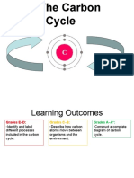 1.3 TheCarbonCycle