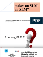 1 What Makes An SLM