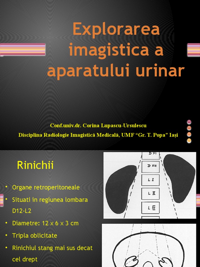 12 RIMrenal | PDF