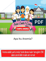 Anemia Rematri Dan TTD-2