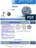 IBMB - Rinovirus: Características, replicación, epidemiología y tratamiento