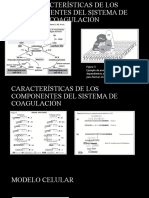 Trabajo Final Trombosis y Cancer