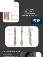 Columna Vertebral