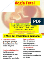02 Fisiología Fetal ATC Inmediata y Recep