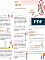 Métodos de Controle Do Crescimento Microbiano