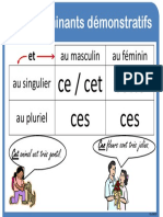 Affiche Determinants Demonstratifs