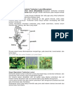 Organ Reproduksi Lumut