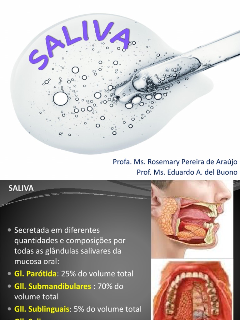 Aula+ +saliva PDF Saliva Anatomia animal