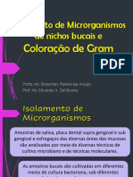 Isolamento de Microrganismos de Nichos Bucais E: Coloração de Gram