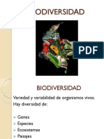 Ecología Clase 10 Biodiversidad1
