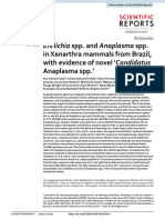 Ehrlichia Spp. and Anaplasma Spp. in Xenarthra Mammals From Brazil, With Evidence of Novel Candidatus Anaplasma SPP.'