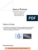 Eukarya Protista