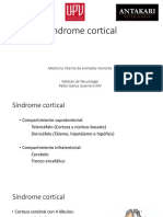 Sindrome Cortical