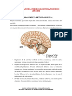 Anatomía SNC Curso 2022-23