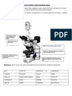 Trabajo Practico Mineralogia Optica