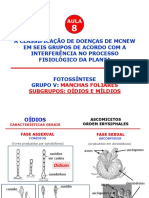 Classificação de doenças foliares em oídios e míldios