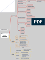 Tarea 5 - Diagrama de Llaves