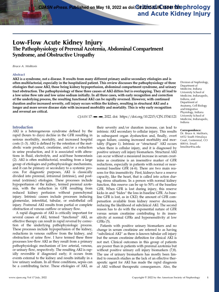 Low-Flow Acute Kidney Injury | PDF | Angiotensin | Kidney