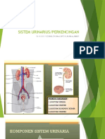 Anatomi Fisiologi Sistem Urinarius