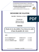 Memoire de Master: Etude de La Durabilité D'un Béton de Sable À Base de Poudre de Verre