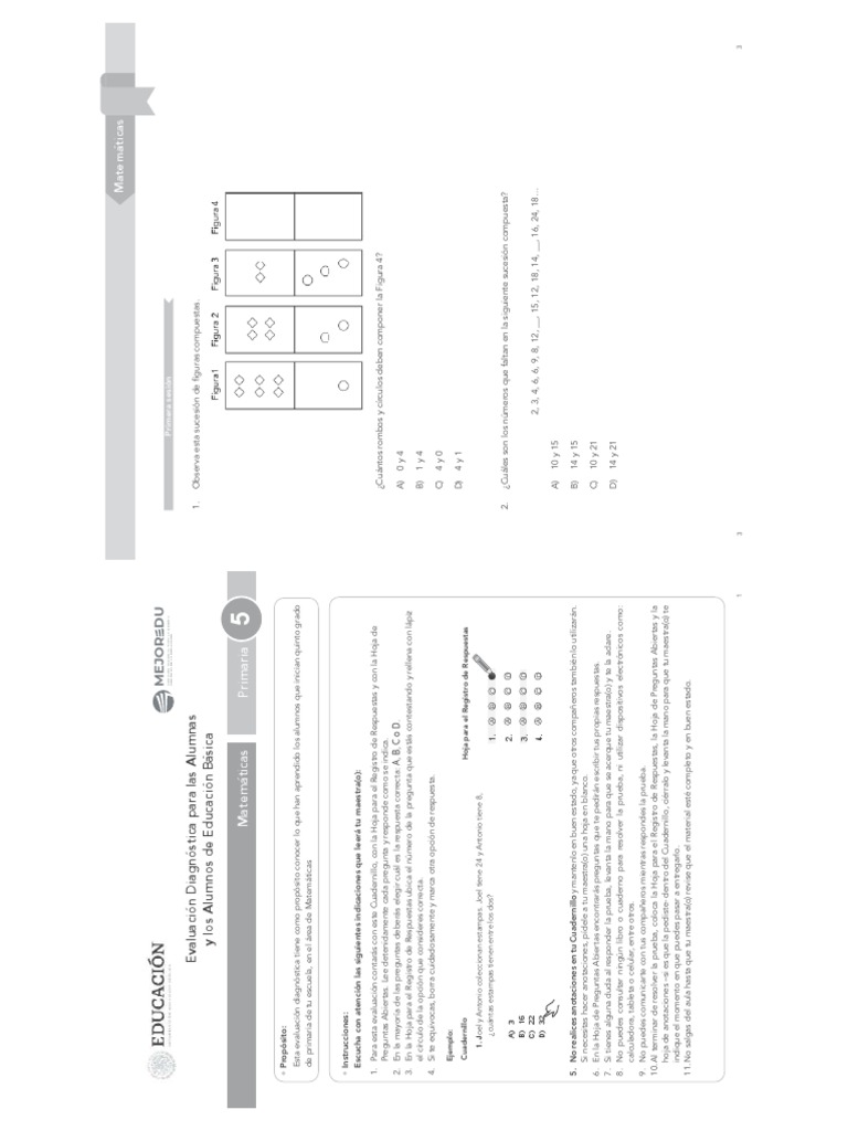 2022 - ExaDiag - Prim - 5 - Mat DUO | PDF | Rectángulo | Geometría ...
