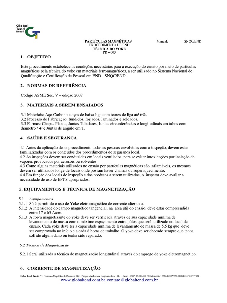 Procedimento de Partícula Magnética | PDF | Magnetismo | Campo magnético