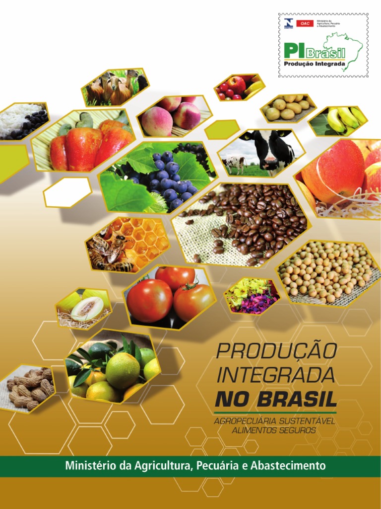 Producao Integrada No Brasil | PDF | Brasil | Agronegócio