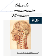 Atlas de Neuroanatomía Humana