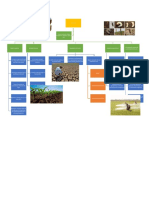 Mapa Conceptual El Suelo.