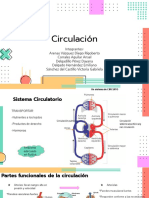 Sistema circulatorio: transporte de nutrientes y desechos en  o menos