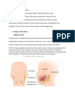 Klasifikasi Kelenjar Saliva