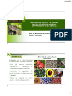 Aula 16 - Mofologia e classificação de sementes e dispersão de frutos e sementes