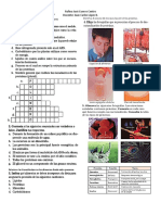 Taller Biomoléculas