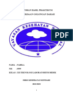 Laporan Hasil Praktikum Golongan Darah