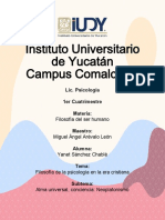 3.2 Alma Universal, Conciencia Neoplatonismo