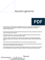 Organization of Genetic Material in Prokaryotes