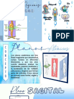 S1 Planos y Regiones Class PDF