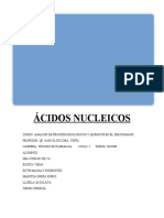 Acido Nucleicos