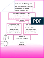 Informe 6