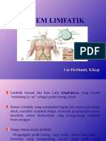 Sistem Limfatik